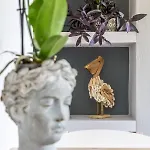 Artemis' Garden Skopelos