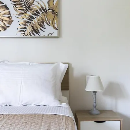 Artemis' Garden 公寓 斯科派洛斯