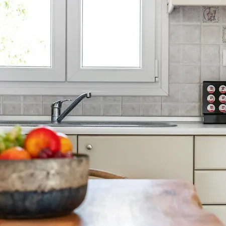 公寓 Artemis' Garden 斯科派洛斯