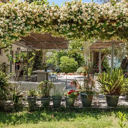 Lägenhet Artemis' Garden Skopelos stad